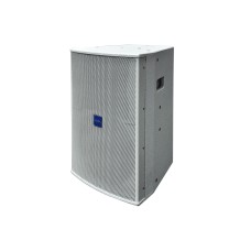 AURA APS10 10寸專業舞台音箱(250W-1000W)